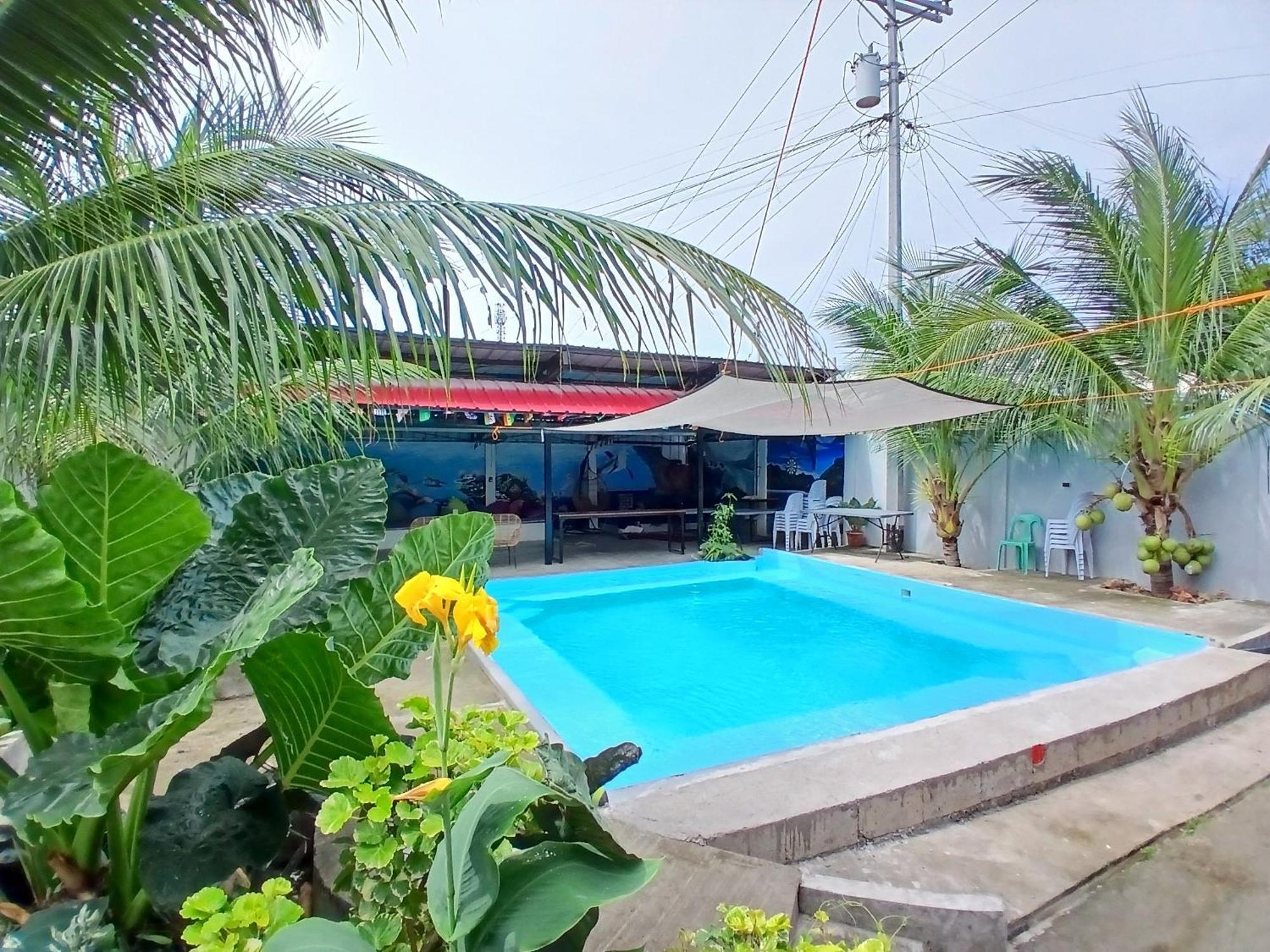 Ananas Guesthouse Моалбоал Екстер'єр фото