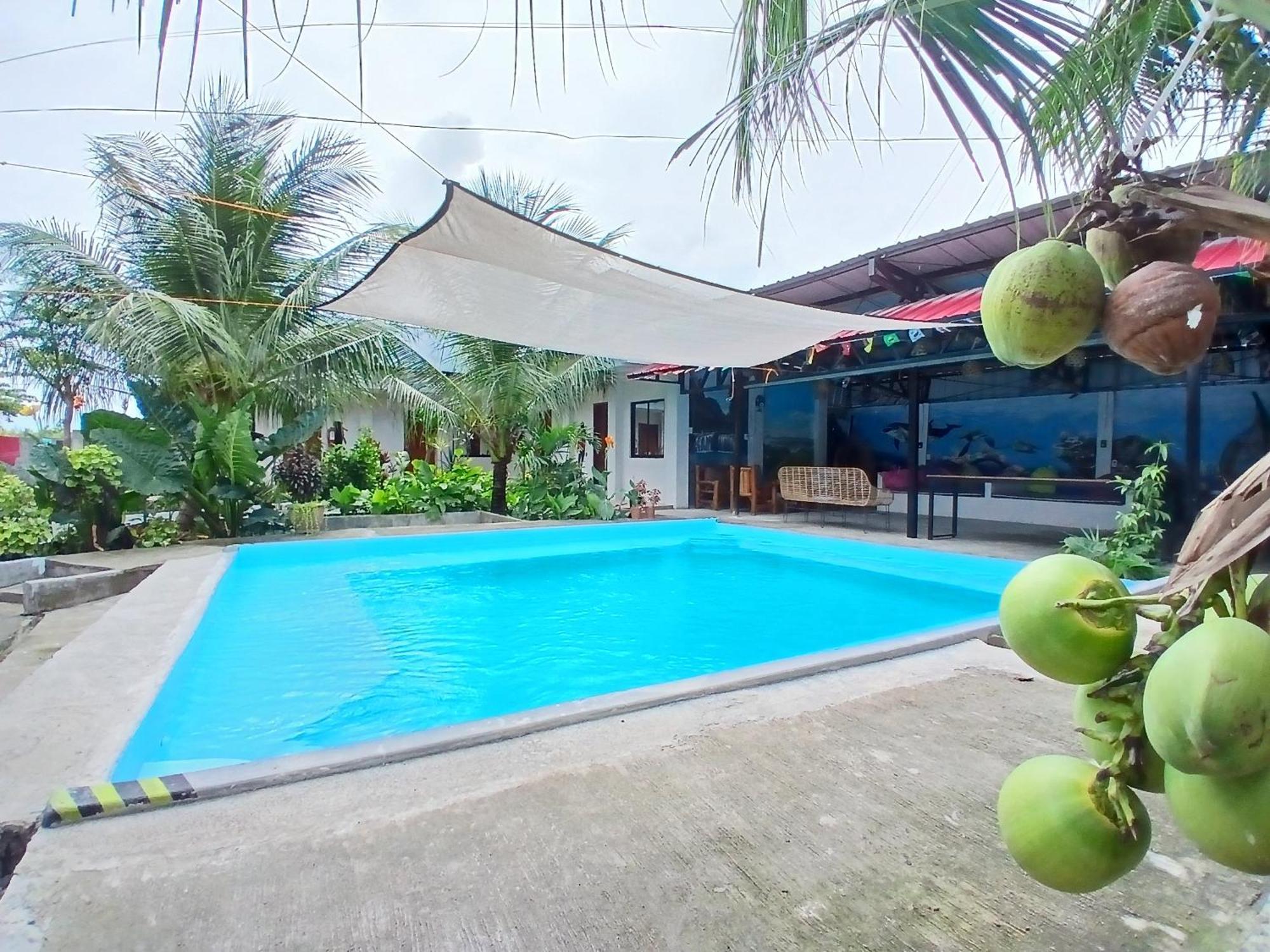 Ananas Guesthouse Моалбоал Екстер'єр фото