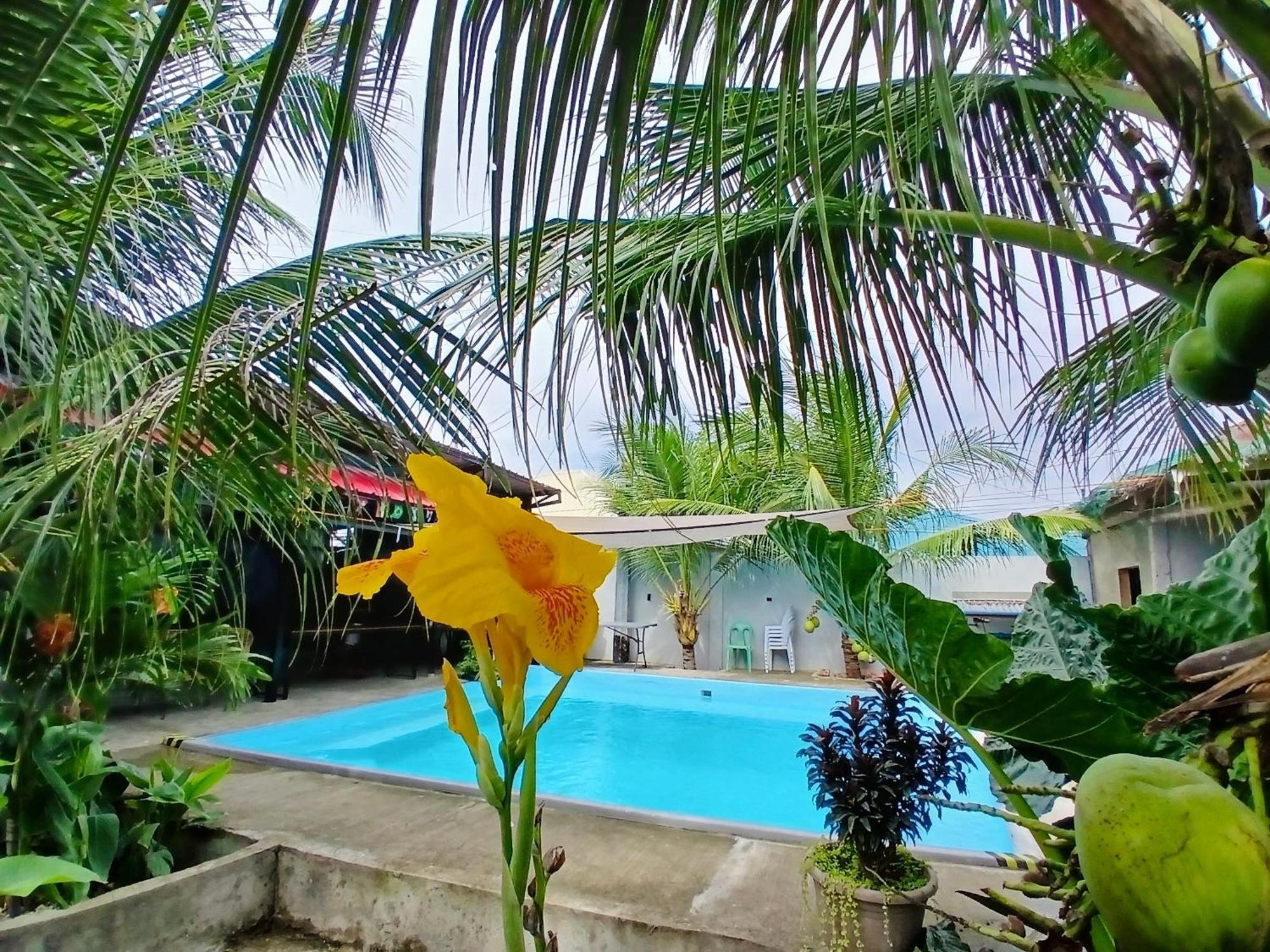 Ananas Guesthouse Моалбоал Екстер'єр фото