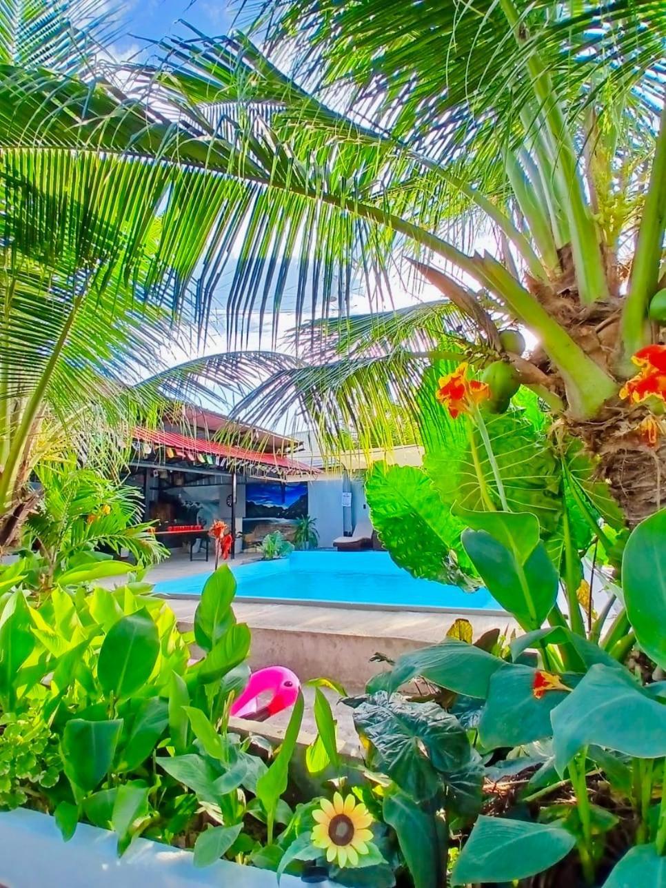 Ananas Guesthouse Моалбоал Екстер'єр фото
